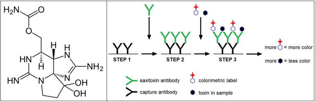 Domoic Acid ELISA Test Kit